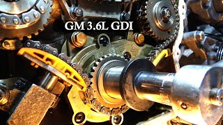 fiat grande punto 13multijet how to change timing chain [upl. by Osbourne]