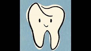 Dental Anatomy 1 Classifications of Dentitions Periods and Teeth [upl. by Aniaz]