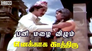 Pani Mazhai Vizhum  Enakkaga Kaathiru  SP Sailaja Dheepan Chakravarthy Love Duet  பனி மழை விழும் [upl. by Eisac290]