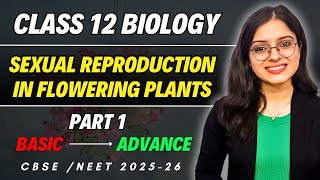 Sexual Reproduction in Flowering Plants  Class 12 Biology Chapter 1 One Shot Part 1  CBSE  NEET [upl. by Eeladnerb249]