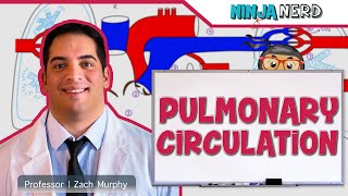 Circulatory System  Pulmonary Circulation [upl. by Kendre]