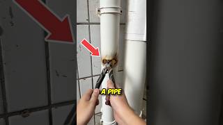 Fix Your Broken Pipe in Minutes ✅ [upl. by O'Mahony]