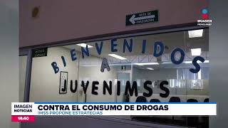 IMSS propone estrategias contra el consumo de drogas  Noticias MTY con Brenda Cavazos [upl. by Asli]