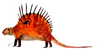 Paleo Profile  Dimetrodon [upl. by Drews]