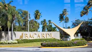 Touring Bacardi Rum Distillery [upl. by Magulac892]