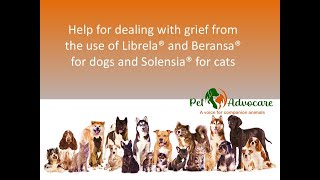 Help for dealing with grief from the use of Librela® and Beransa® for dogs and Solensia® for cats [upl. by Meredi]