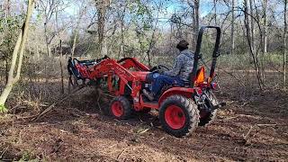 Smilax Anyone Clearing for a Driveway Fence Jan 2023 [upl. by Hoeg]