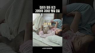 한밤중부터 아침까지 고양이 관찰카메라🐱🎥 [upl. by Ammeg]