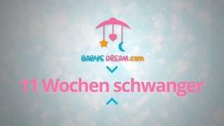 11 SSW 11 Wochen schwanger  Schwangerschaft Anzeigen und Symptome [upl. by Ecnarual]