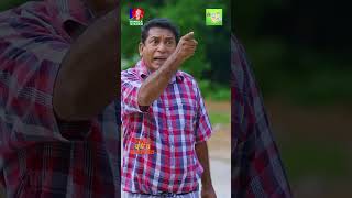 পঁচা মাছ কিনে বাড়িতে আসার পর bvshorts [upl. by Aihsoek]