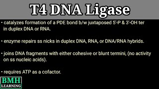 T4 DNA Ligase  Ligation Using T4 DNA Ligase [upl. by Tekcirc]