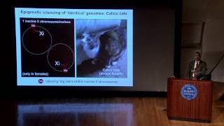 Talking Science quotEpigenetics Inheriting More Than Genesquot featuring C David Allis [upl. by Imalda132]