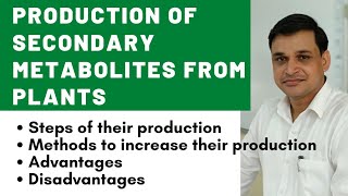 Production of secondary metabolites from plants and their advantages [upl. by Chilton]