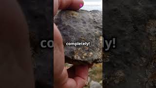 Unveiling Metamorphic Mysteries  Rock Transformations [upl. by Anuat]