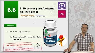 66 EL RECEPTOR PARA ANTÍGENO DEL LINFOCITO B [upl. by Atteniuq]