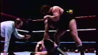 Don Muraco vs Swede Hansen P2 [upl. by Adidnac]