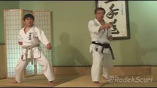 Hirokazu Kanazawa  Mastering Karate  Vol3  Kihon Ido MidLevel Kyu Rank Combinations [upl. by Netsud]