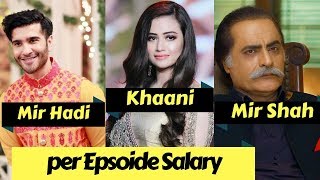 khaani Drama Actors per Episode Salary  Khaani Drama Cast  Khaani  Feroz Khan  Sana Javed [upl. by Francklin]