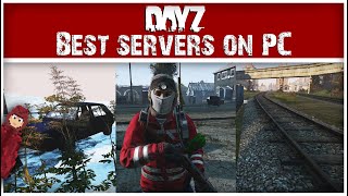 The BEST PC Servers You Need to Play on DayZ [upl. by Ytirahs]