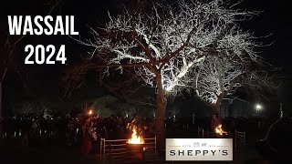 Wassail 2024  Sheppys Cider Orchards  Somerset [upl. by Elyc14]