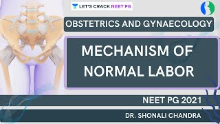 Mechanism of Normal Labor  NEET PG 2021  Dr Shonali Chandra [upl. by Enyleve]