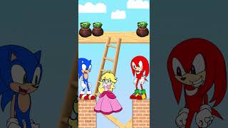 Would you help Sonic did everything to save Pr Peach animation parody sonictoon [upl. by Trabue]