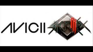 Avicii  Levels Skrillex Remix [upl. by Ajuna]