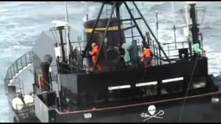 SEA SHEPHERD vs YUSHIN MARU [upl. by Lahcim]