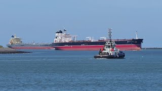 Shipspotting Rotterdam 07 2023 [upl. by Spark302]