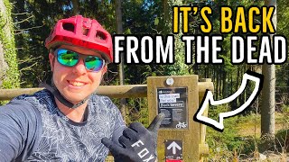 Haldon Forest Black Trail is Open Again [upl. by Mayhew]