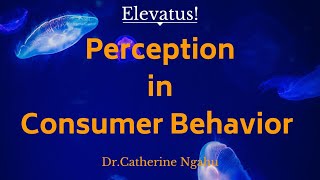 How Perception influences Consumer Behavior [upl. by Hpeosj260]