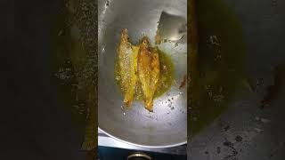 Sorse diye bhola macher recipe asmr asmrcooking cooking sorsebhola bholamach bhola [upl. by Saied]