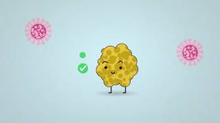 Science in 1 minute what are lichens [upl. by Wendolyn]