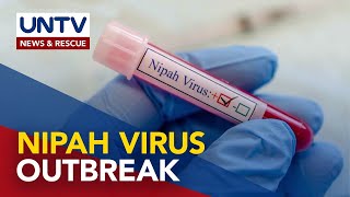 Nipah virus unlikely to enter Philippine borders  Health Expert [upl. by Trevethick13]