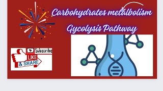 GLYCOLYSIS PATHWAY [upl. by Filippo]