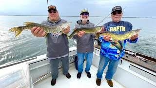 RAPTR Adventures Episode 33  Chain Pickerel Walleye amp Northern Pike in Chaumont Bay NY [upl. by Nwonknu312]