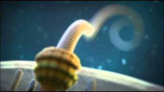 Irreducible Complexity The Bacterial Flagellum [upl. by Gault]