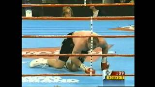 Mike Tyson knockout Francois Botha [upl. by Yzzo948]