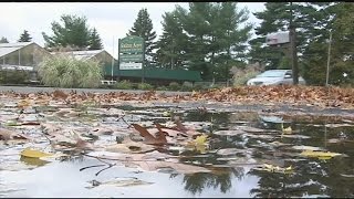 Wet leaves can make for slippery driving conditions [upl. by Dieball]