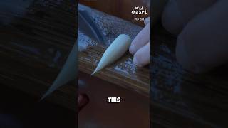 Making Brushes From Goat Hair [upl. by Box172]