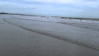 Beachwalker Park Kiawah Islandmov [upl. by Weismann]