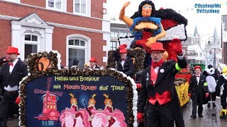 Dammer Carneval  Sonntagsumzug 2018 [upl. by Ethbin]