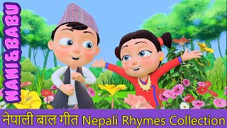 Chi Musi Chi चि मुसी चि  Nepali Rhymes for Kids  बाल गीत [upl. by Derr]