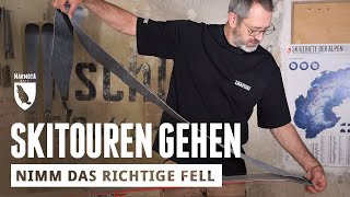 Tourengehen die richtigen Felle auswählen [upl. by Gerkman]