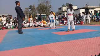 Epic Karate Knockouts  Professionals vs Beginners [upl. by Gredel]