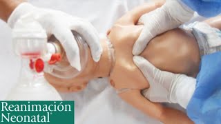 REANIMACIÓN NEONATAL  Valoración del RECIÉN NACIDO Parte 1 ACTUALIZADO 2023  Neonatología [upl. by Getter]