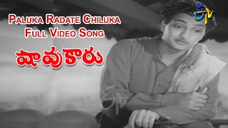 Paluka Radate Chiluka Full Video Song  Shavukaru  NT Rama Rao  Sowcar Janaki  ETV Cinema [upl. by Silin]