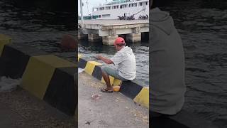 Ikan Ini Termasuk Banyak di Bawah Dermaga kapal ini shorts shortvideo short shortsvideo [upl. by Gerri627]