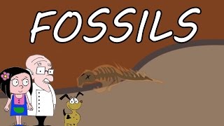 EARTH What are fossils [upl. by Xela]