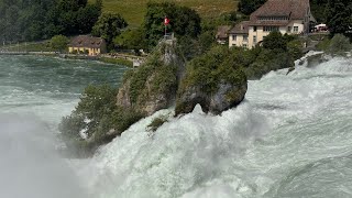 Rheinfall bei Hochwasser 06062024 😎👍🏻 [upl. by Mateya]